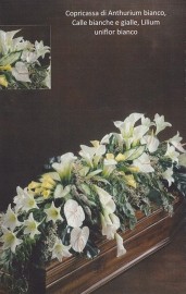 /media/2012/01/copribara top 2 (Copia).jpg